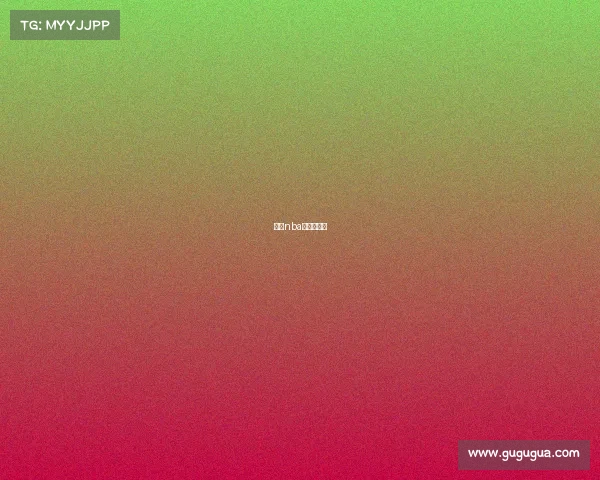 美国nba今天的比赛